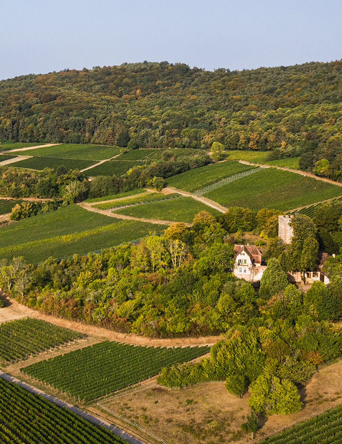 Weingut Jülg