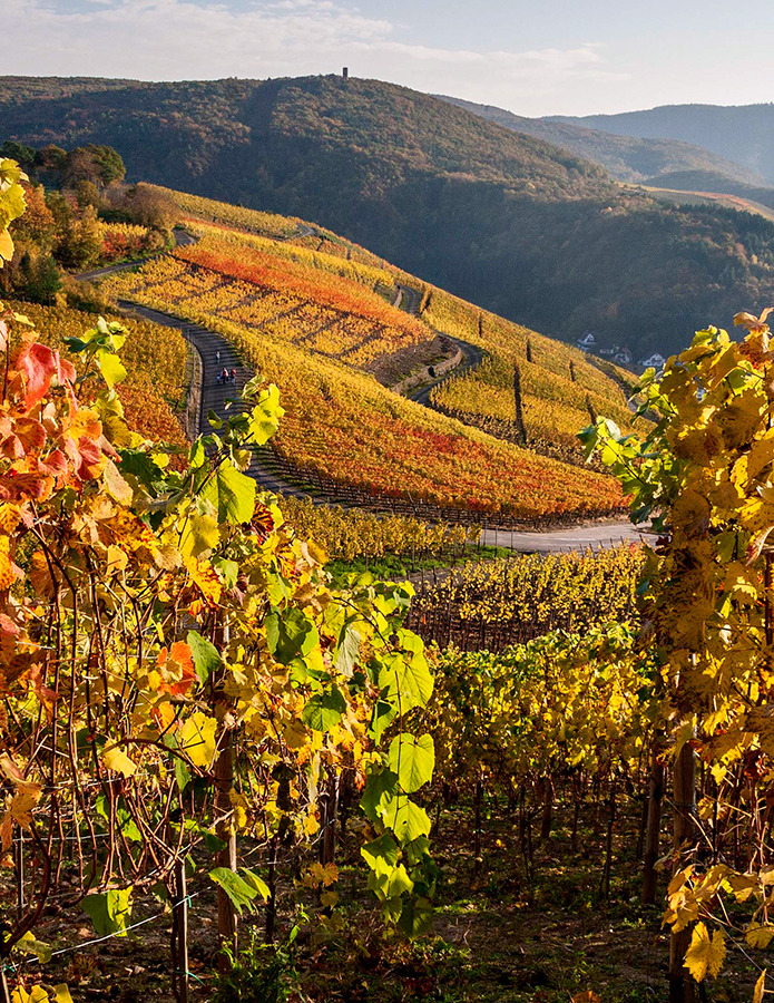 Weingut Meyer-Näkel