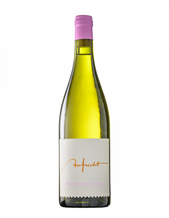 Aufricht Pinot Blanc de Noir